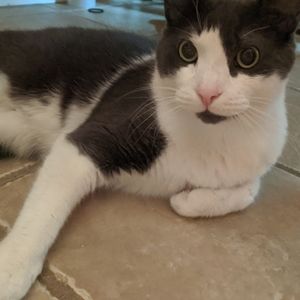 Meet your Posher, Cassi